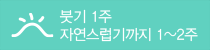붓기 1주 자연스럽기까지 1~2주