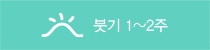 붓기 1~2주