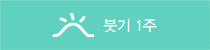 붓기 1주