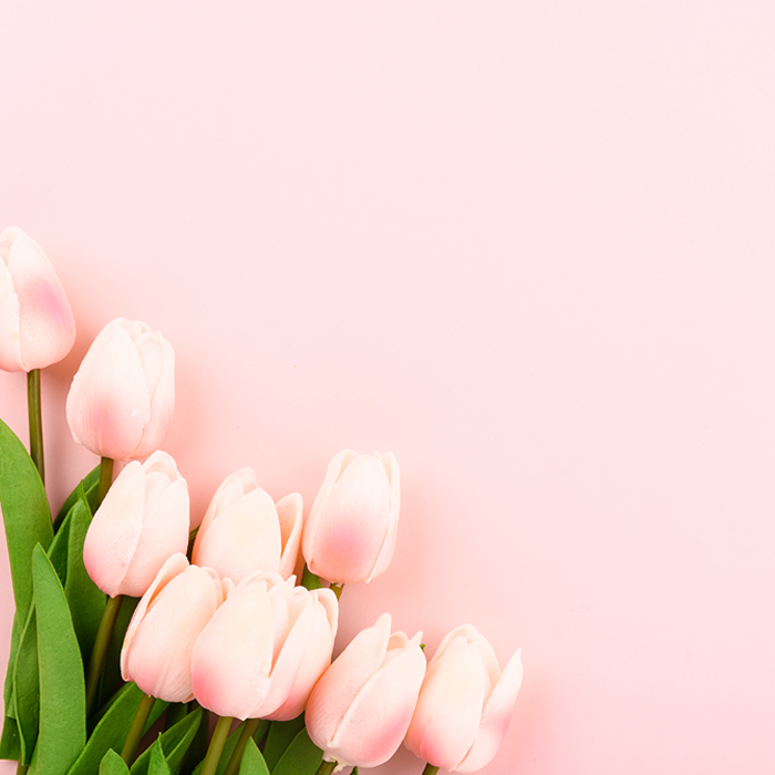다양한 귀성형 질문, 한 번에 준비해봤어요 썸네일 이미지