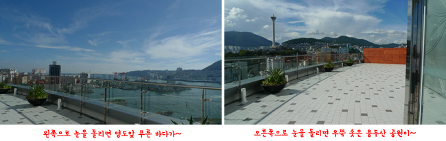 왼쪽 사진은 영도 앞바다를 내려다보고 찍은 사진, 오른쪽 사진은 테라스에서 부산타워와 용두산을 찍은 사진