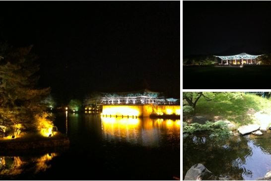 경주 안압지의 화려한 야경 모습 그리고 작은 연못에 나무 그림자가 비치는 사진