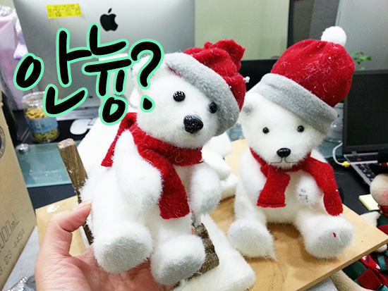 빨간 모자를 쓴 흰 북극곰 인형 두마리를 손에 들고 있는 사진