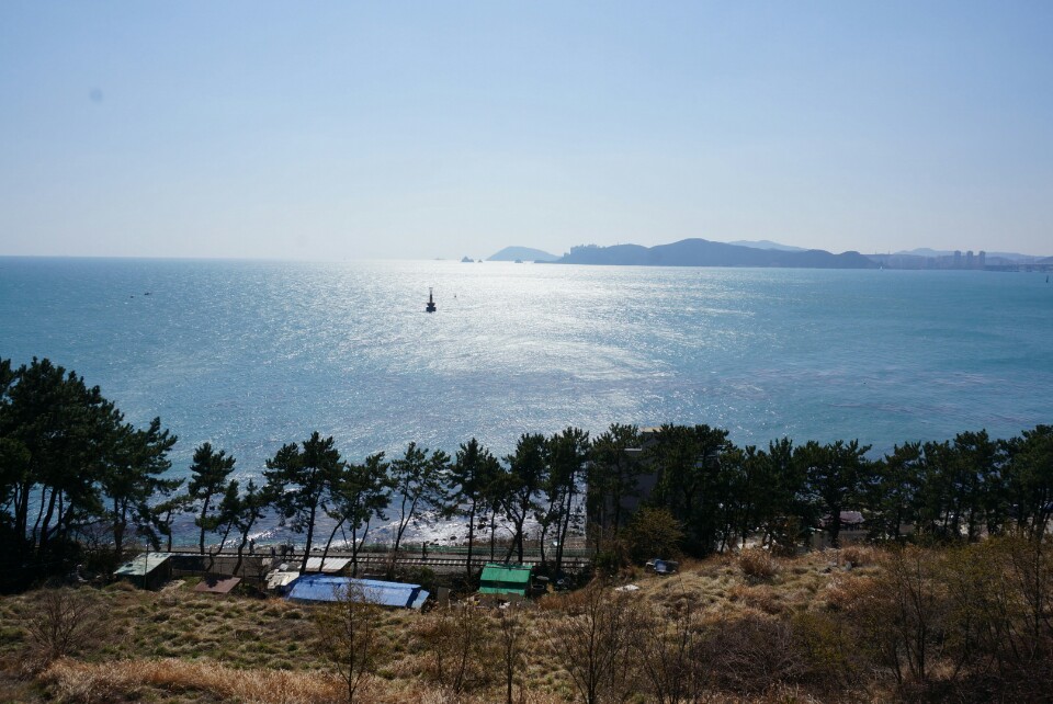 달맞이길에서 바라본 해운대