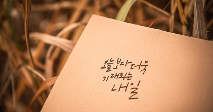 메시지가 적힌 카드