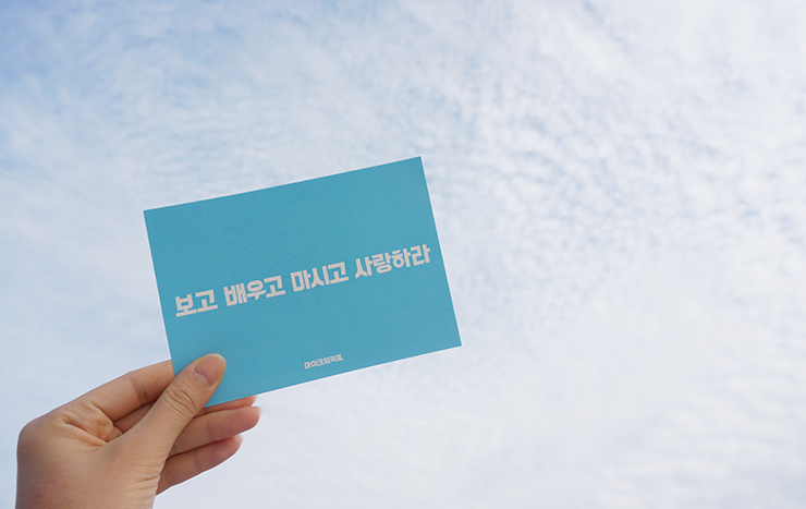 보고 배우고 마시고 사랑하자