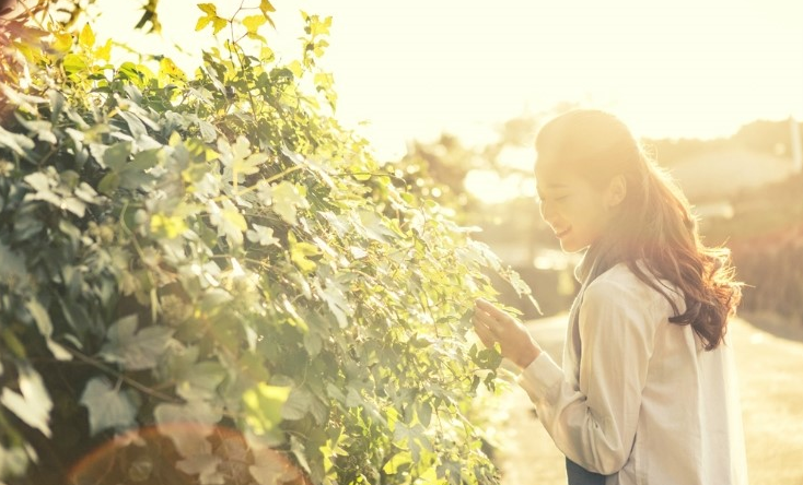 햇살이 내리는 길 위의 여자