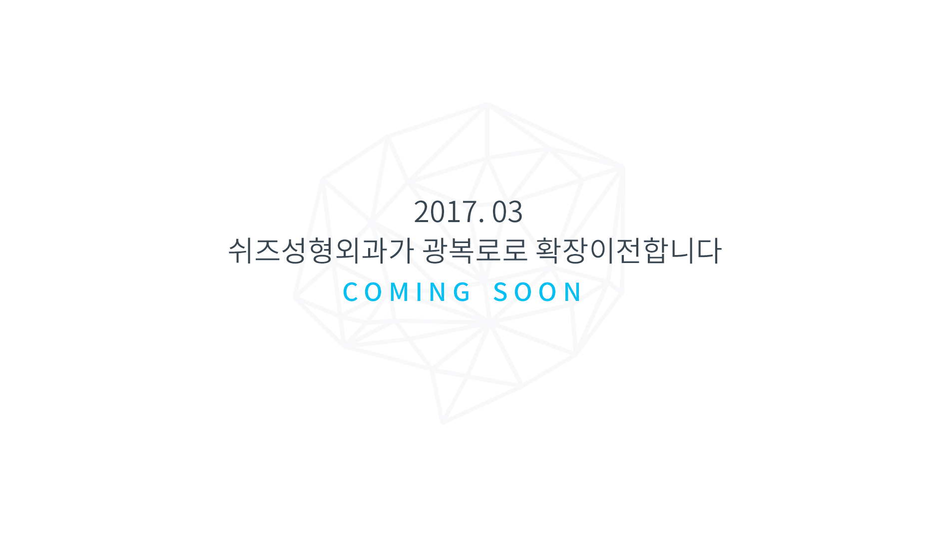 쉬즈성형외과 안내