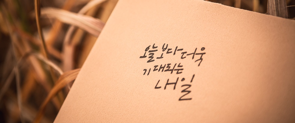 쉬즈성형외과, 청년내일채움공제, 청년내일채움, 부산코디네이터