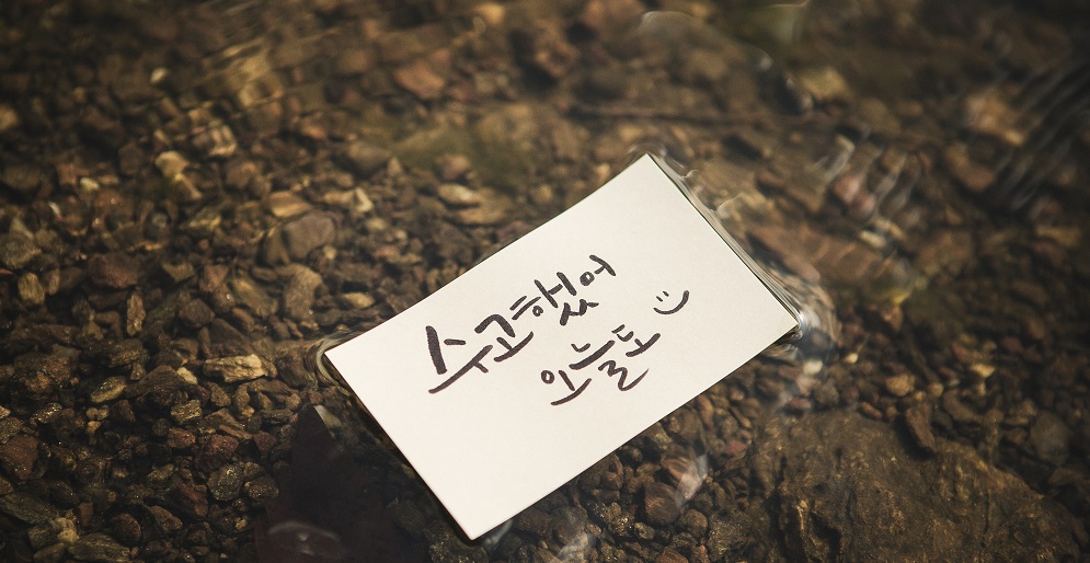 쉬즈성형외과, 청년내일채움공제, 청년내일채움, 부산코디네이터
