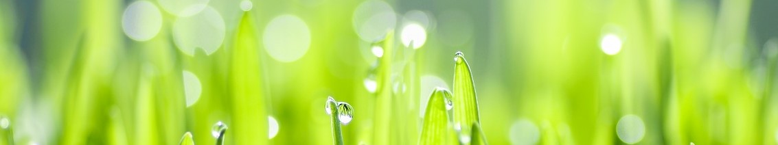 부산스파, 부산커플스파, 부산피부, 부산피부관리