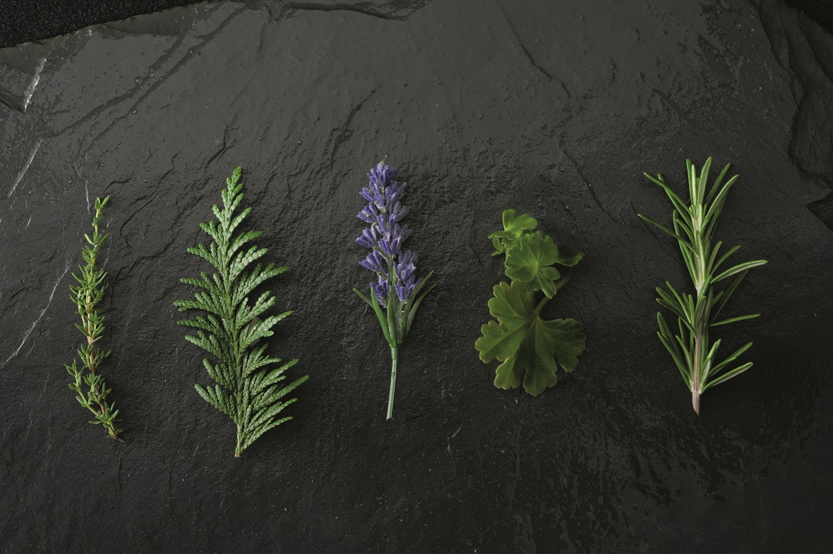 부산스파, 부산커플스파, 부산피부, 부산피부관리